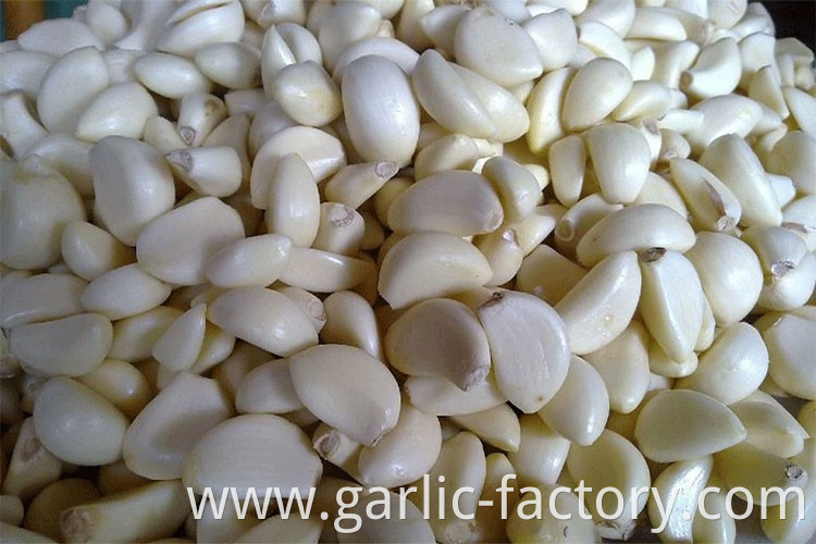 Peeled Fresh white garlic